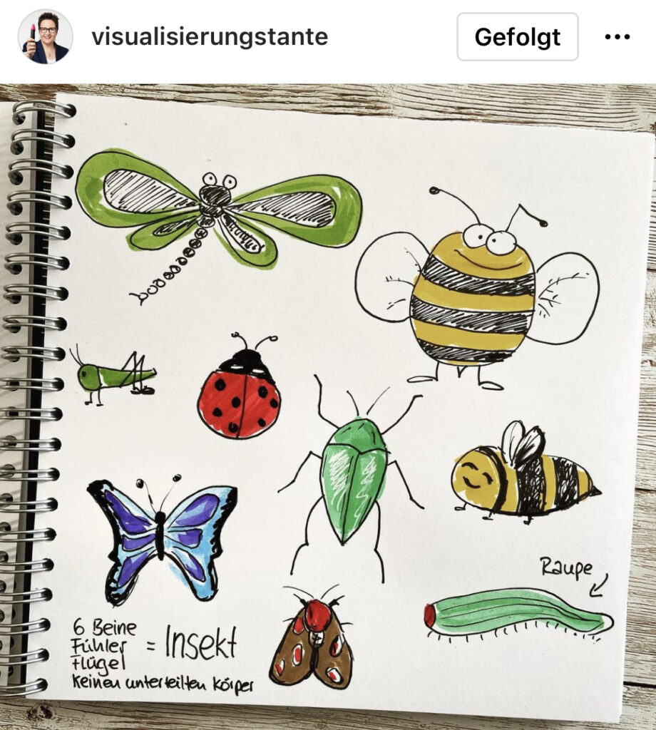 Insekten, Biene, Käfer, Schmetterling, Kritzelspiele